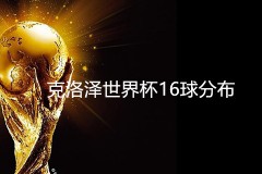 克洛泽世界杯16球分布一览 世界杯历史上进球最多球员