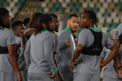 尼日利亚无缘世界杯 点球不敌民主刚果