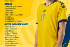 瑞典国家队大名单最新 库卢领衔伊萨克因伤落选