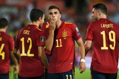 欧洲杯西班牙队vs格鲁吉亚队比赛结果 西班牙大胜对手
