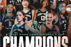 自由人WNBA总裁杯夺冠 中国球员韩旭未出场