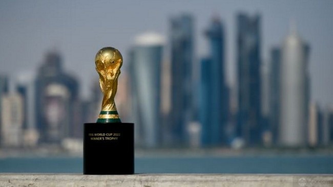 2022世界杯