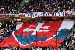斯洛伐克首次打进世界杯是哪年？有且仅有一次杀进世界杯决赛圈