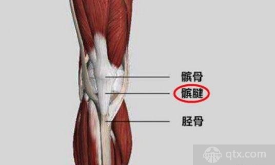 阿扎尔左膝出现髌腱炎