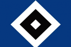 德乙汉堡vs埃尔沃斯堡预测 堡处于联赛主场三连败之中
