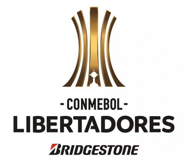 南美解放者杯在线视频直播 