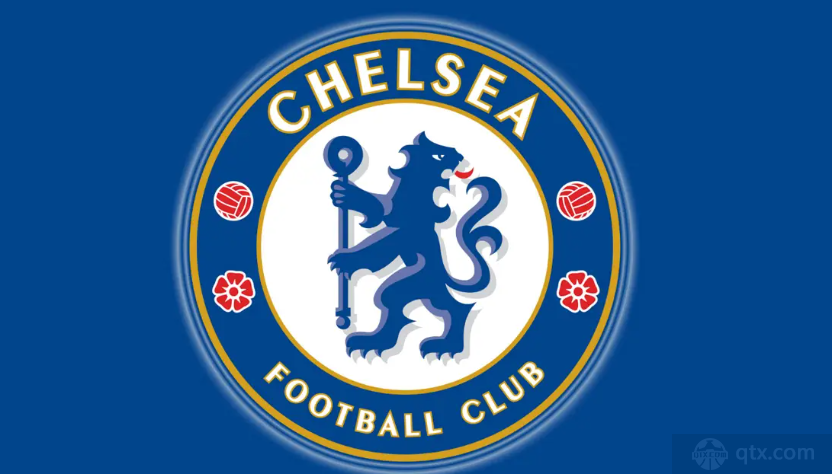 切尔西仍想签费尔明