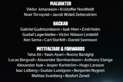 瑞典公布世预赛名单 枪手前锋将缺席本月比赛