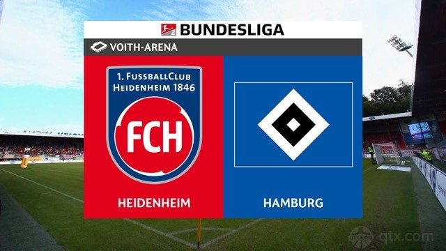 海登海姆vs汉堡