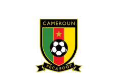 喀麦隆足球队世界杯最好成绩 1990年意大利世界杯打进8强