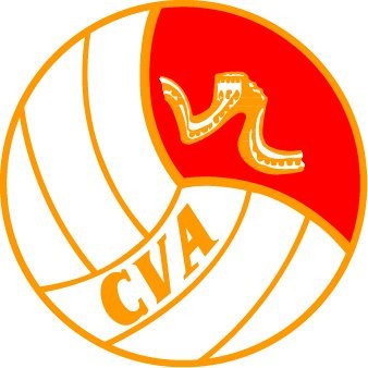 中国冠军logo有几种图片